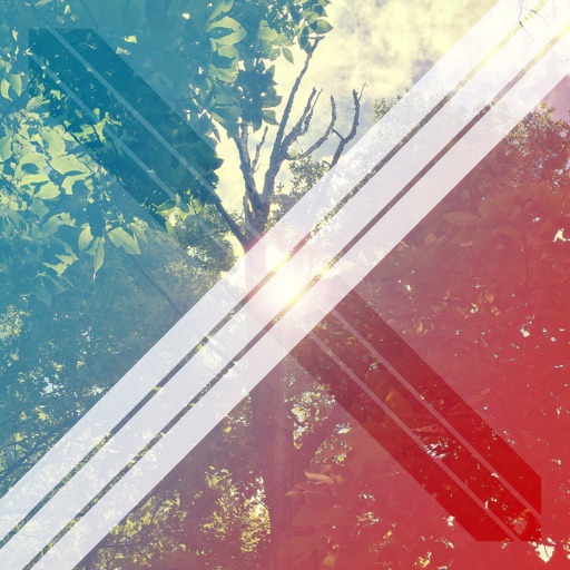 Avatar - Nativeparty