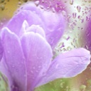 Flipboard profile picture for @swallow