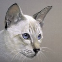Flipboard profile picture for @infospace
