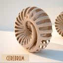 Flipboard profile picture for @Cerebrum