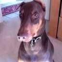 Flipboard profile picture for @wicked