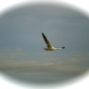 Flipboard profile picture for @rec
