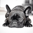 Flipboard profile picture for @saffron