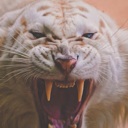 Flipboard profile picture for @Pees