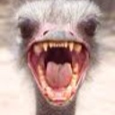 Flipboard profile picture for @emu