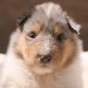 Flipboard profile picture for @Rosy