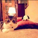 Flipboard profile picture for @capote