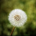 Flipboard profile picture for @Swings