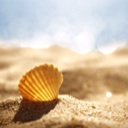 Flipboard profile picture for @EnzoS