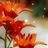 Flipboard profile picture for @january