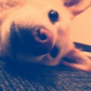 Flipboard profile picture for @lilies