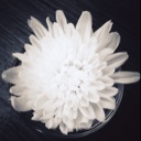 Flipboard profile picture for @floria