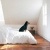 Flipboard profile picture for @looking