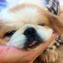 Flipboard profile picture for @miserable
