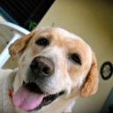 Flipboard profile picture for @mazza