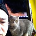 Flipboard profile picture for @sing
