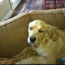 Flipboard profile picture for @wallo