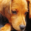 Flipboard profile picture for @malt