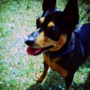 Flipboard profile picture for @karate