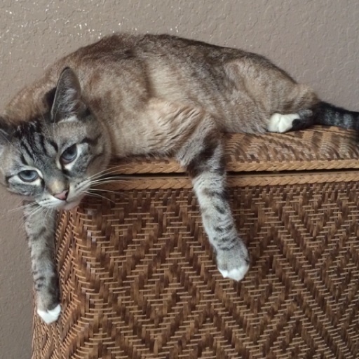 Bernard Martinez - cover