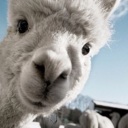 Flipboard profile picture for @leito