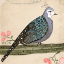 Flipboard profile picture for @beaucoup