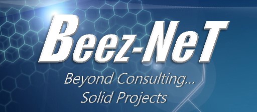 Avatar - Beez-Net Consulting