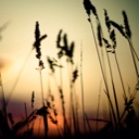 Flipboard profile picture for @iis