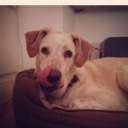 Flipboard profile picture for @DdS