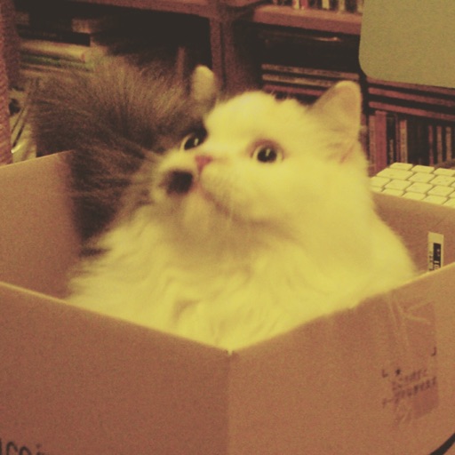 Flipboard profile picture for @togo