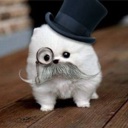 Flipboard profile picture for @biscuits