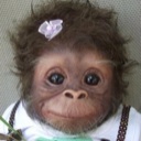 Flipboard profile picture for @Tocino