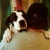 Flipboard profile picture for @khaki