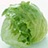 Flipboard profile picture for @lettuce