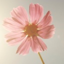 Flipboard profile picture for @botany