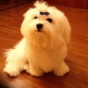Flipboard profile picture for @alice