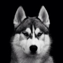 Flipboard profile picture for @Long