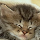 Flipboard profile picture for @smiles