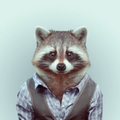 Flipboard profile picture for @shoemaker