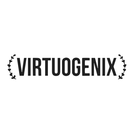 Avatar - Virtuogenix