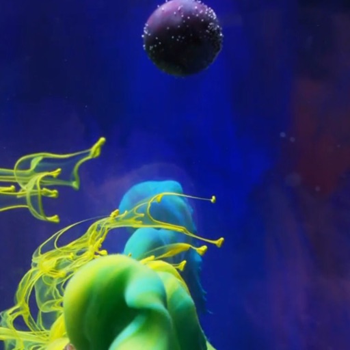 Avatar - Franco Cherfils