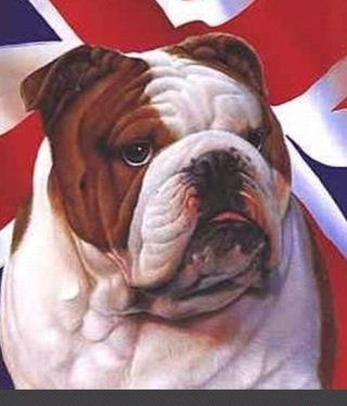 Flipboard profile picture for @foru