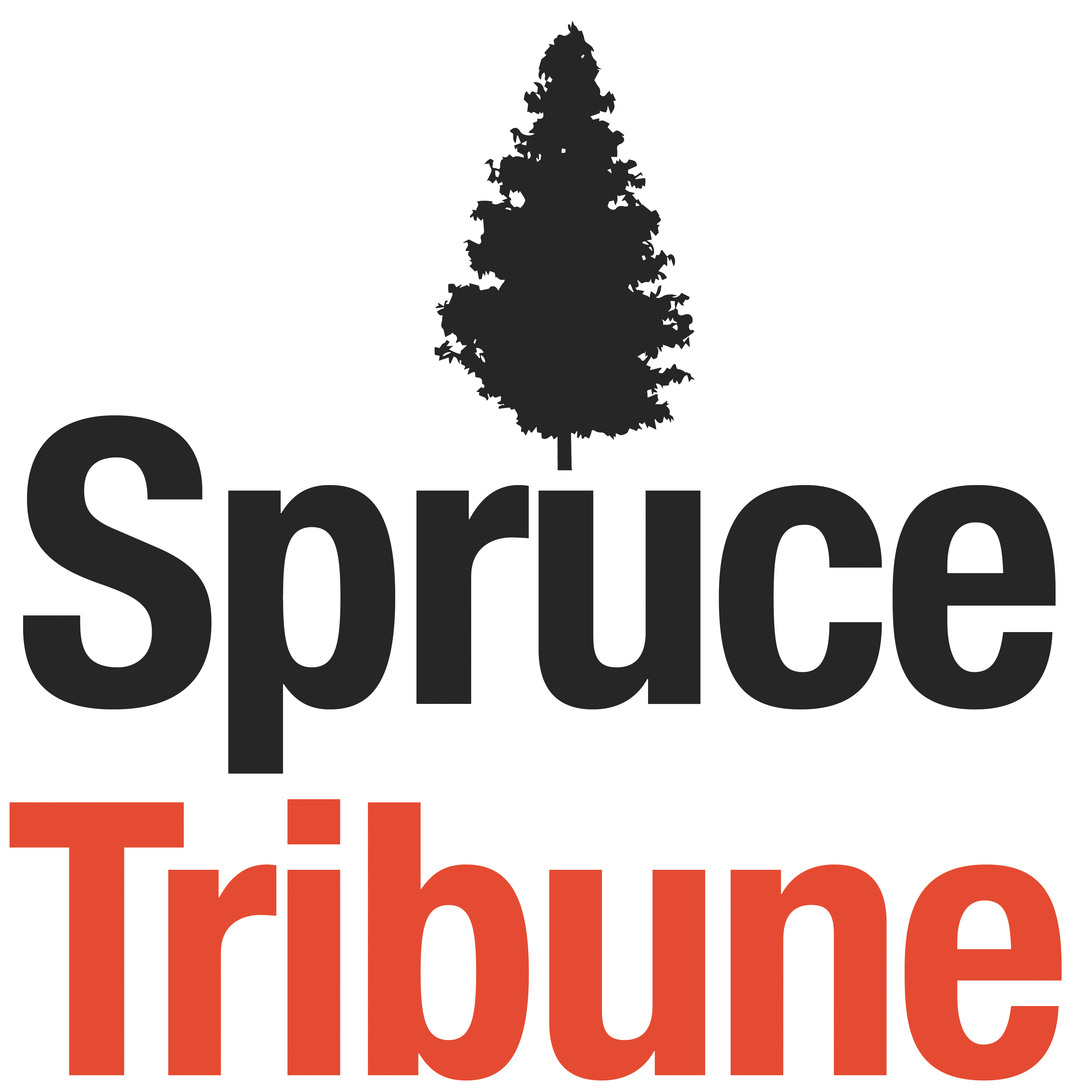Avatar - Spruce Tribune