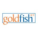 Avatar - Goldfish ICT Services