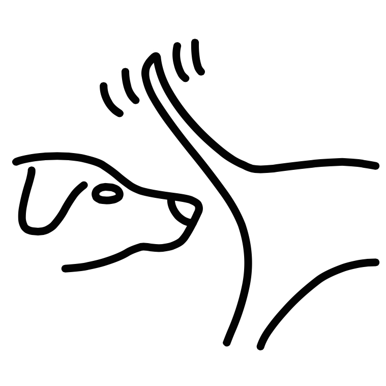 Avatar - branded dog