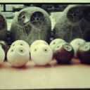 Flipboard profile picture for @wizards