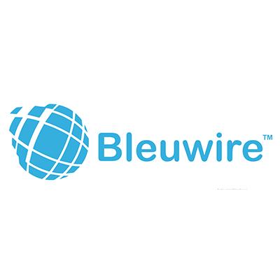 Avatar - Bleuwire IT Services