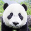 Flipboard profile picture for @HEHE