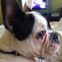 Flipboard profile picture for @Luisca