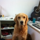 Flipboard profile picture for @Bred
